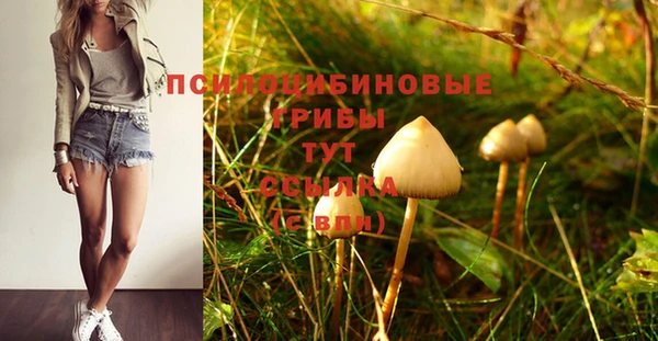 героин Абаза